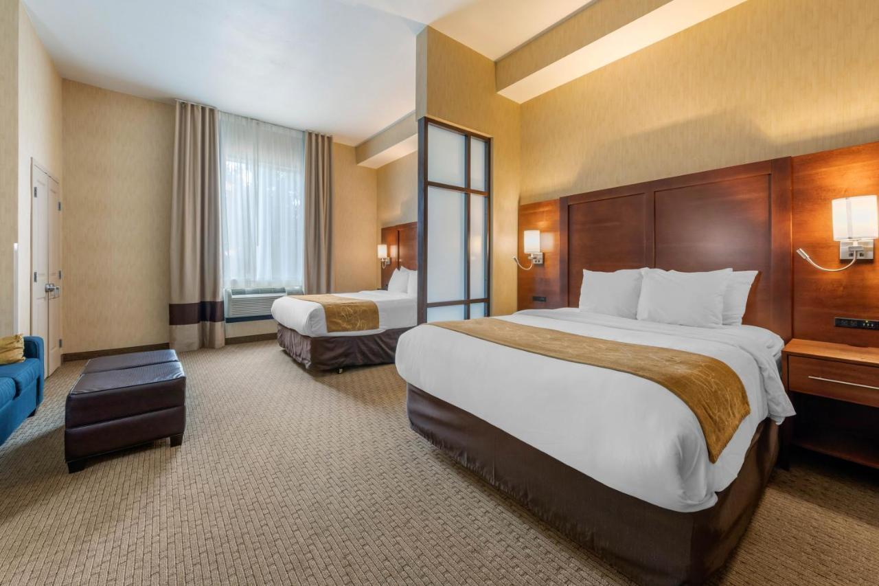 Suite, 2 Queen Beds with Sofa Bed, Accessible Roll-In Shower, Non Smoking