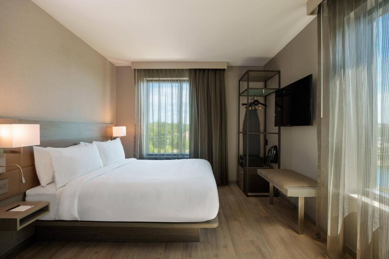 One-Bedroom King Suite,1596959695:JPEG