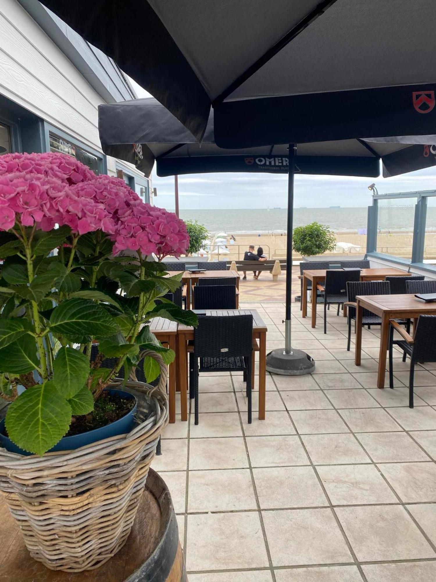 Suite Junior con terraza
