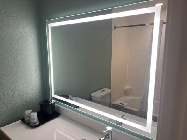 King Room - Disability Access,1698958184:JPEG