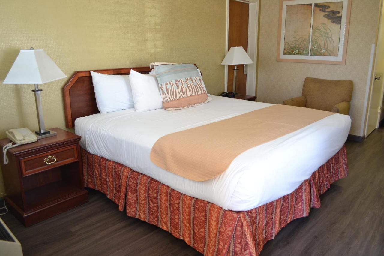 Chambre Lit King-Size - Non-Fumeurs