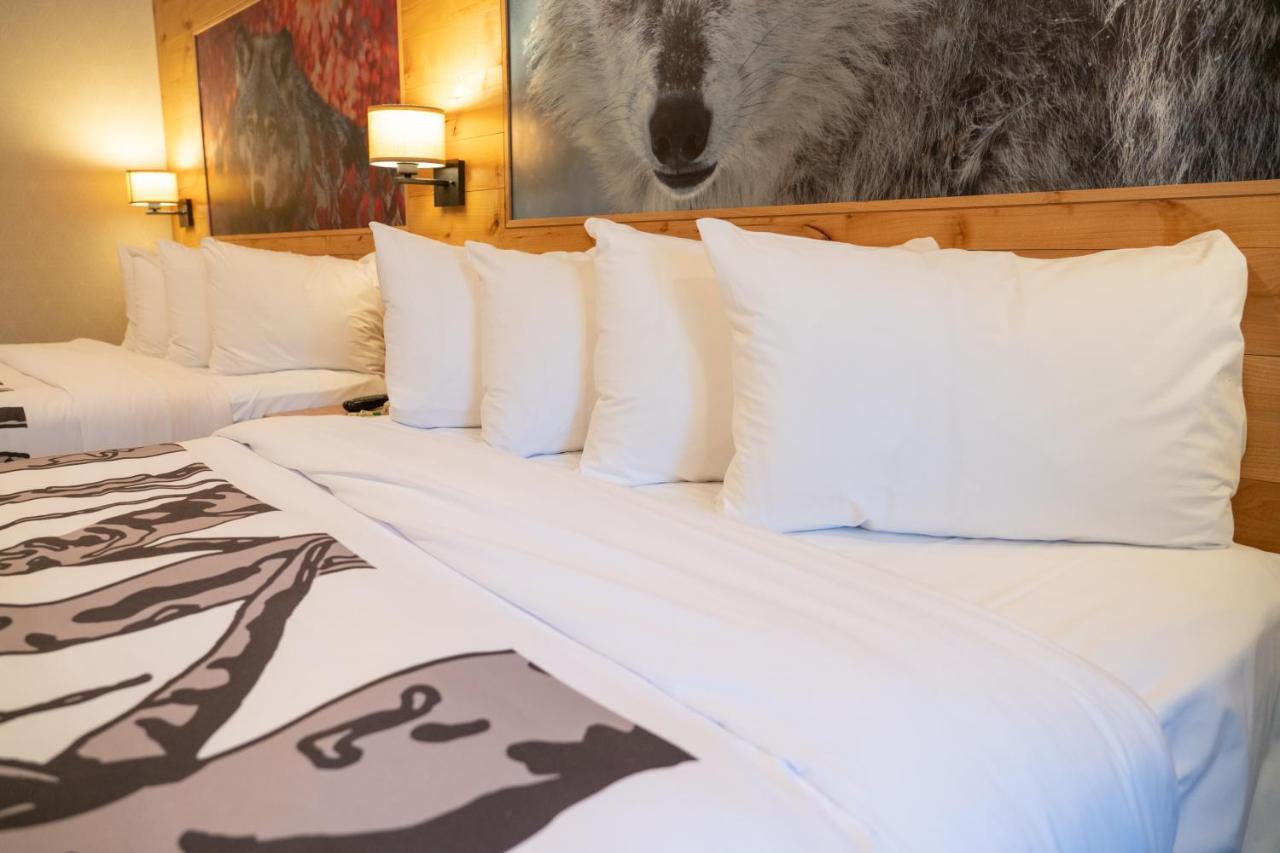Suite Junior con 2 camas grandes