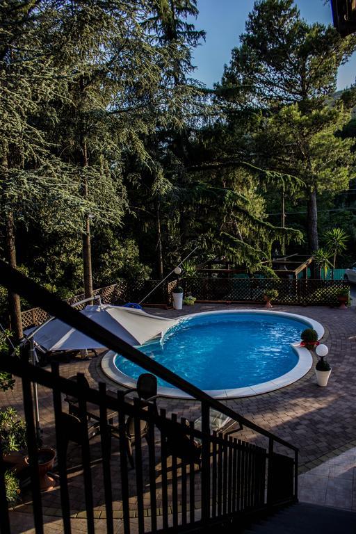 Double or Twin Room with Garden View,81259581:JPEG