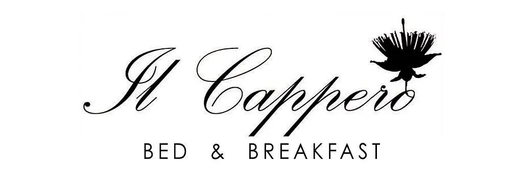 Bed And Breakfast Il Cappero-1