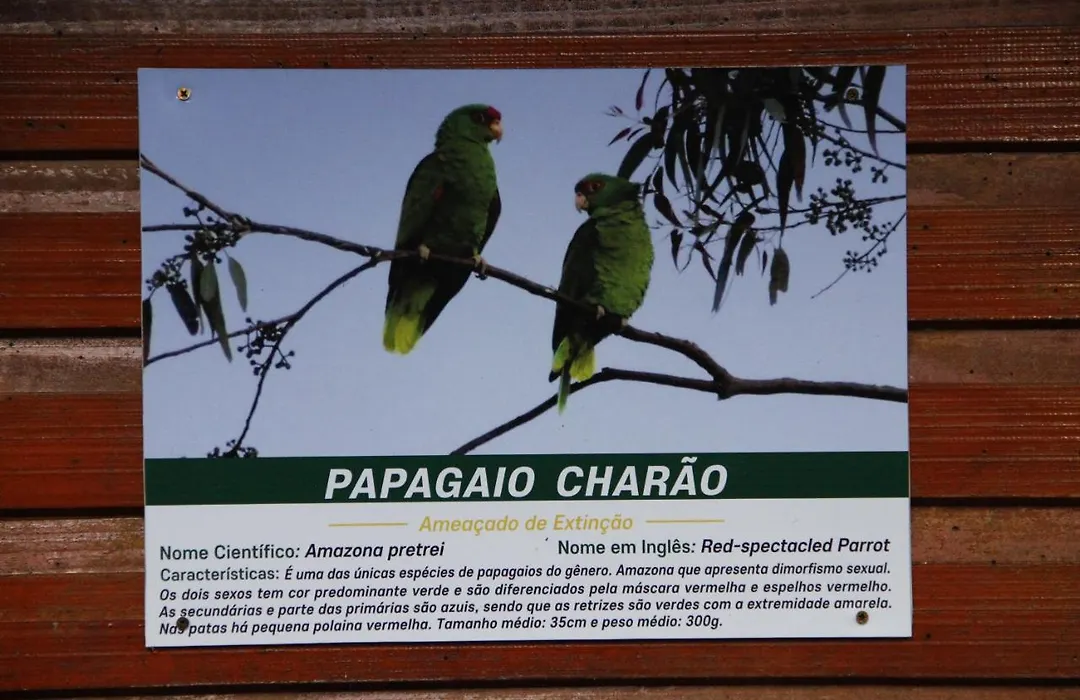 Recanto da Mata Pousada-1