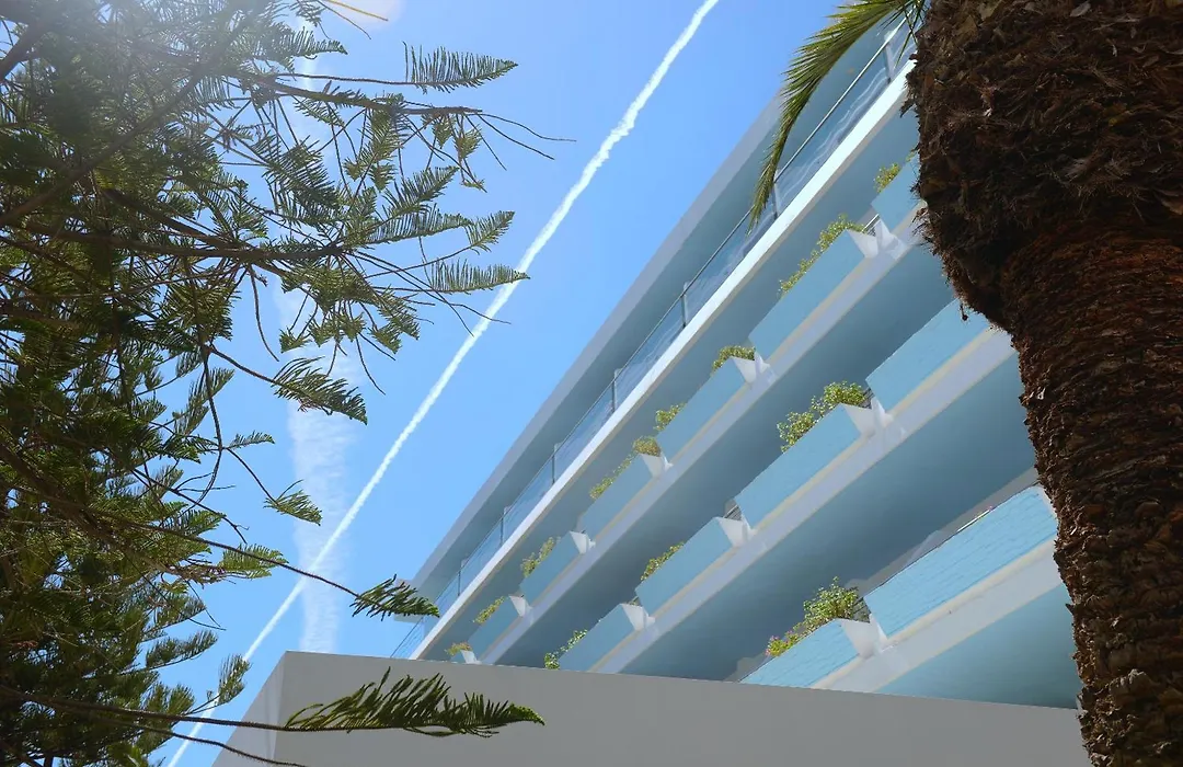 Blue Horizon-1