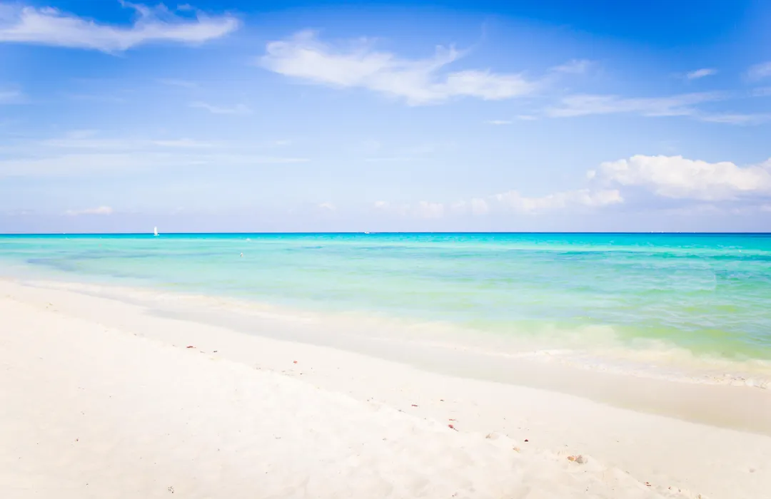 The Reef Playacar Beach Resort & Spa-1