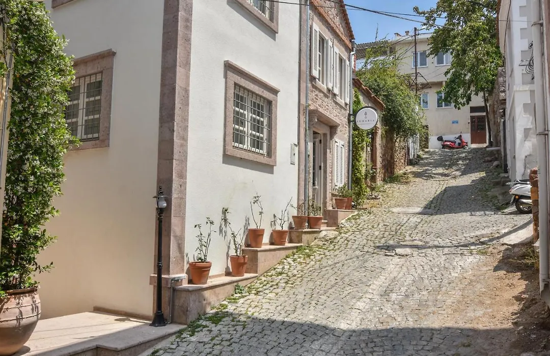Lunaria Guest House-1