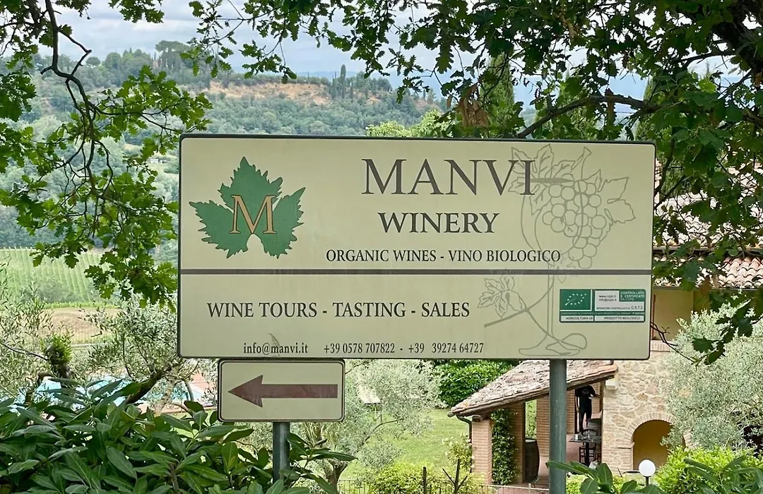 The Grapevine By Manvi-1