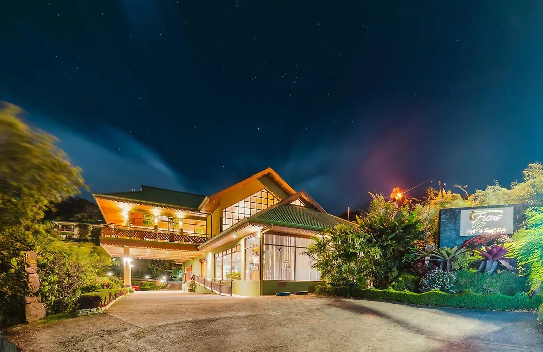Ficus Sunset Suites-1