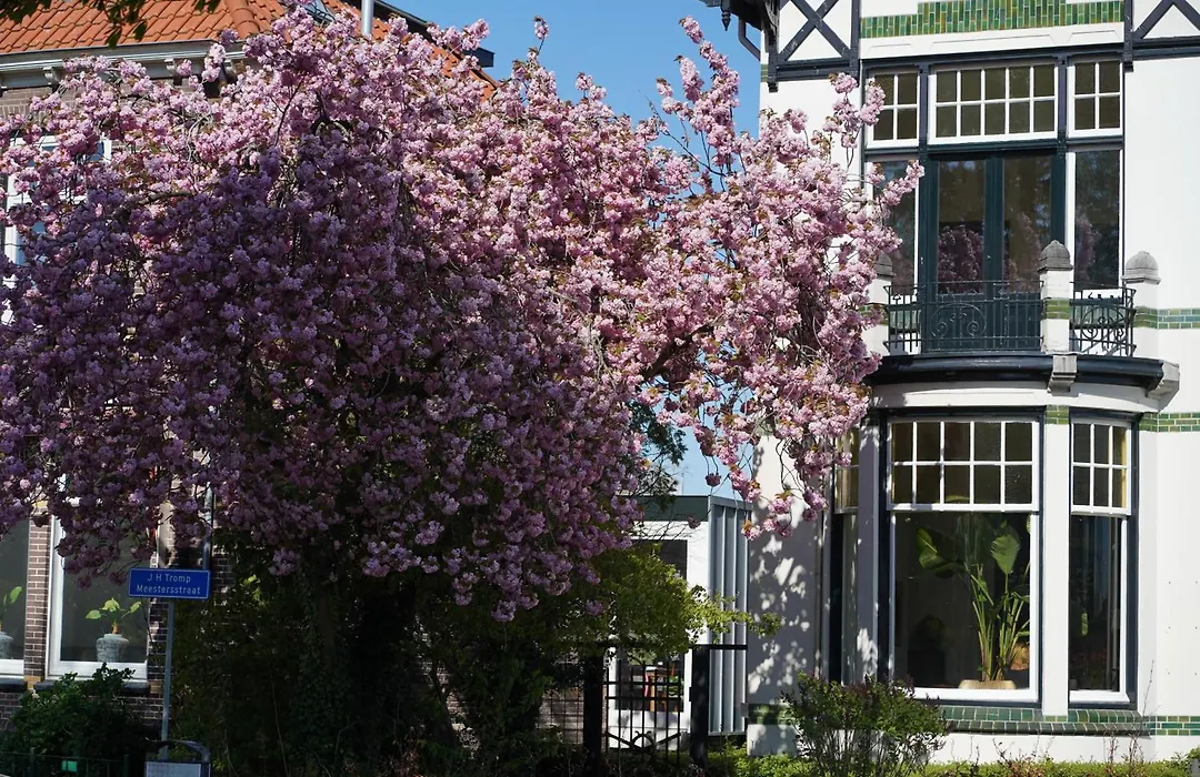B&B Villa Frisia-1
