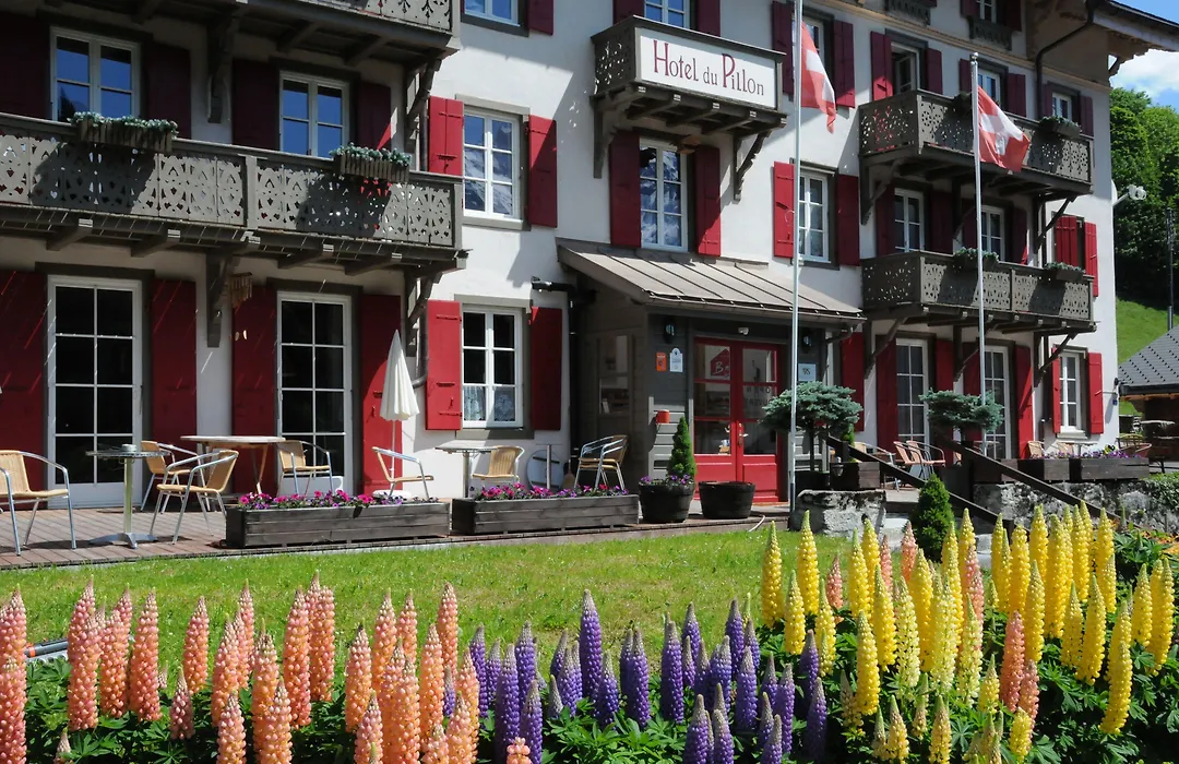 Swiss Historic Hotel du Pillon-1