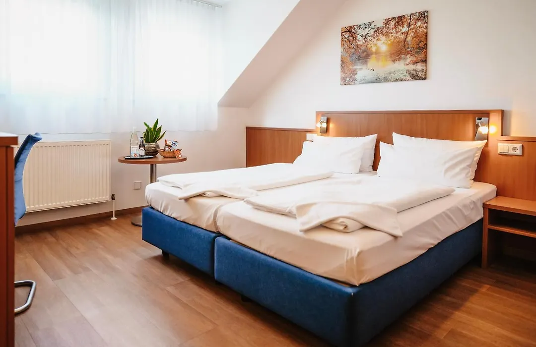 Hotel&Restaurant Goldener Pflug-1