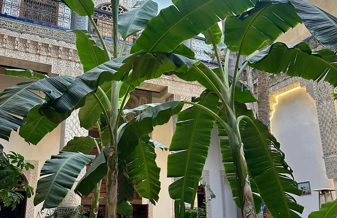 Riad Loudaya And Spa-1