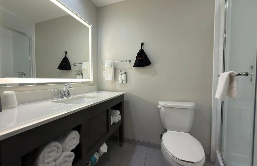 Holiday Inn Midland By Ihg-1