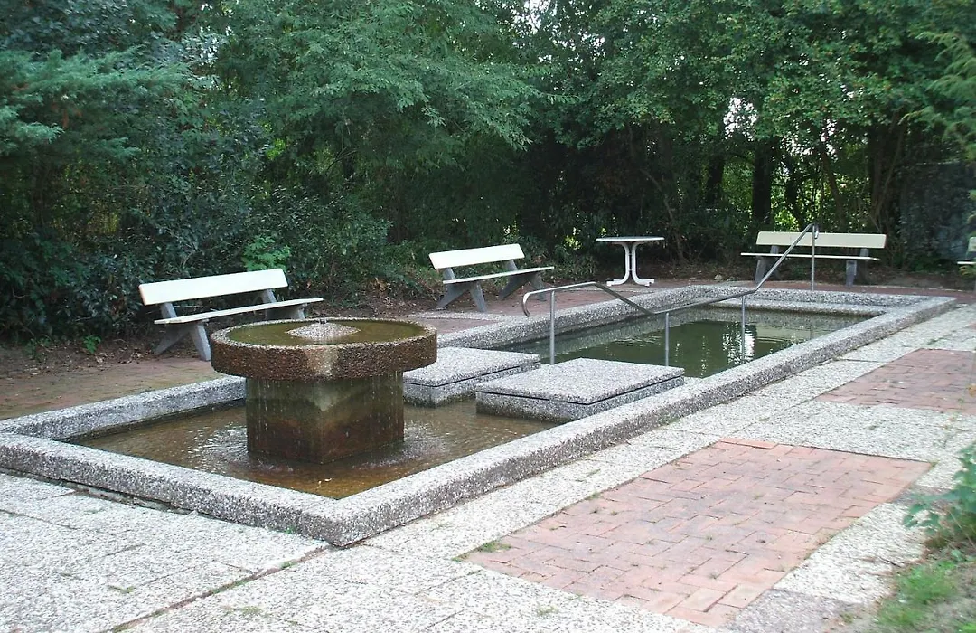 Hotel Royal Garden-1