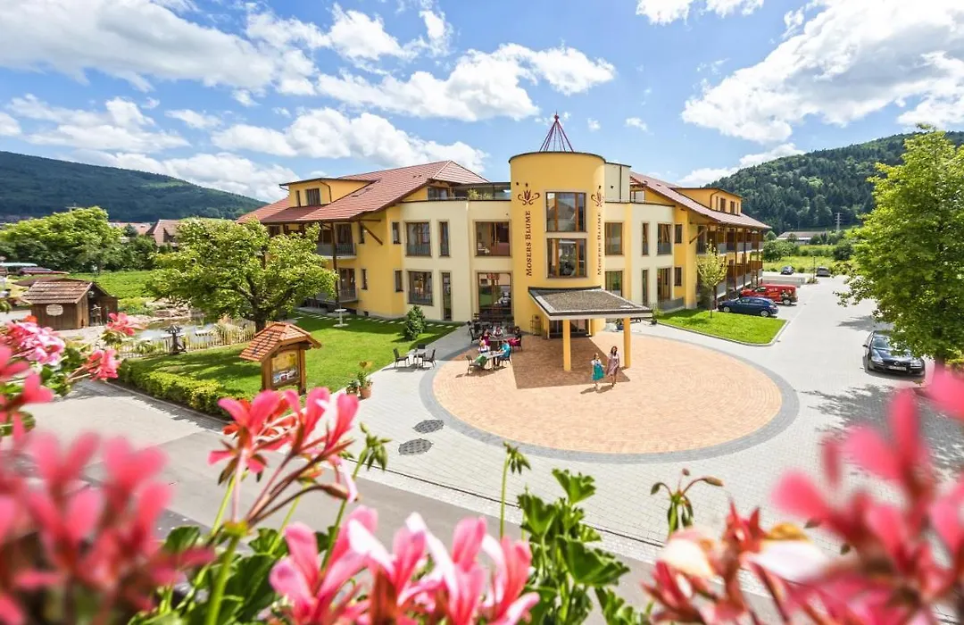 Hotel Gasthaus Mosers Blume-1