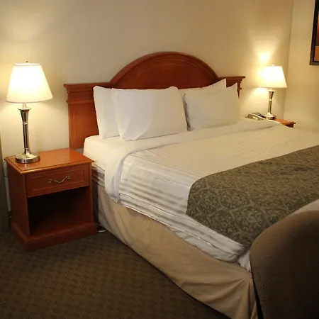 Ramada By Wyndham Edmonton South-2