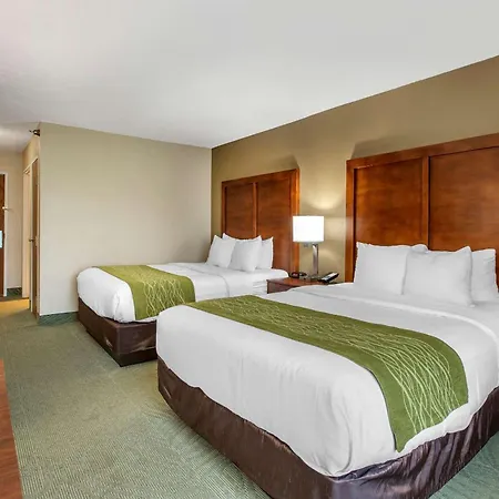 Comfort Inn Muscatine Near Hwy 61-2