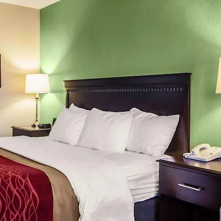 Quality Inn Belton - Kansas City South-3