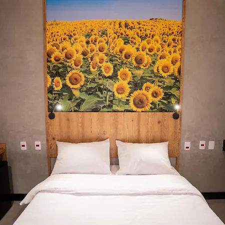 Campos De Holambra Inn-3