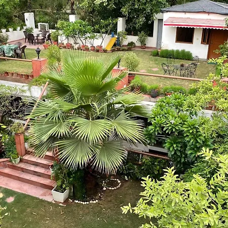 The Stay Inn New Delhi-3