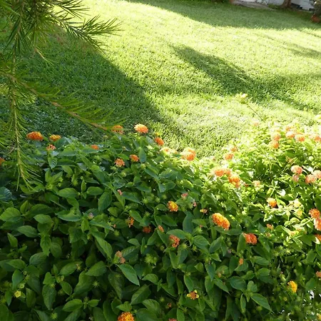B&B Oliena-3