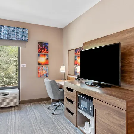 Hampton Inn & Suites Orlando-Apopka-3
