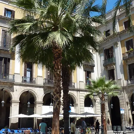 Roma Reial-2