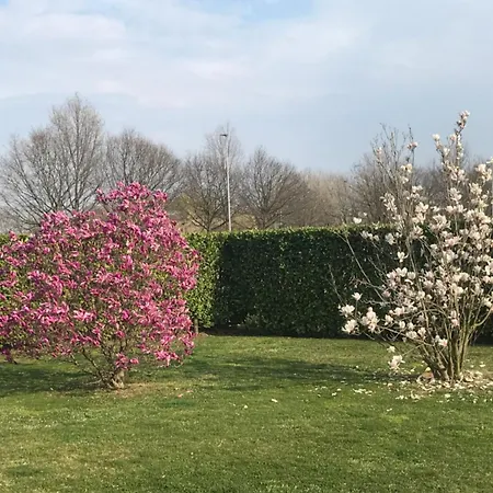 Il Salice-2