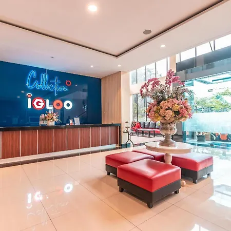 Collection O Hotel Igloo-2