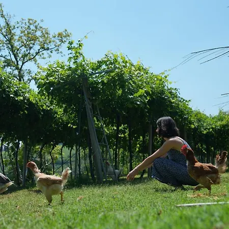 Agriturismo Ai Dossi-3