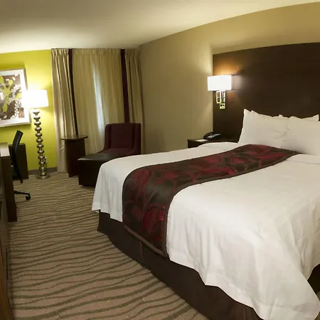 Fairfield Inn & Suites By Marriott Dallas Dfw Airport South/Irving-3