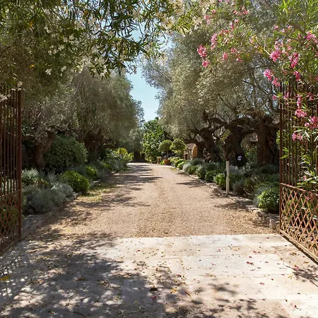 Domaine Les Mesanges-3