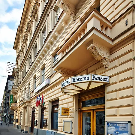 Brezina Pension-3