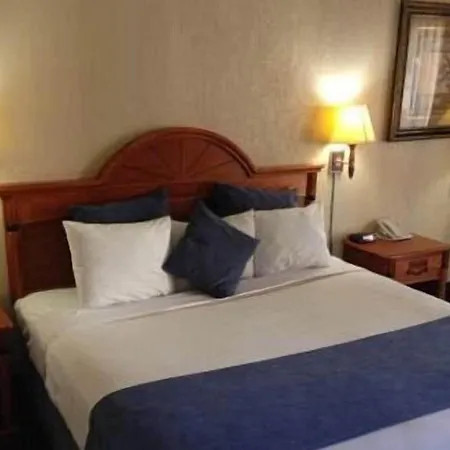 Downtowner Inn And Suites - Houston-3