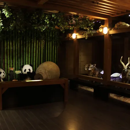 Noah'S Ark Hotel & Resort-2