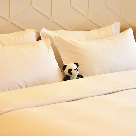 H-Hotel Riverside Chengdu-3