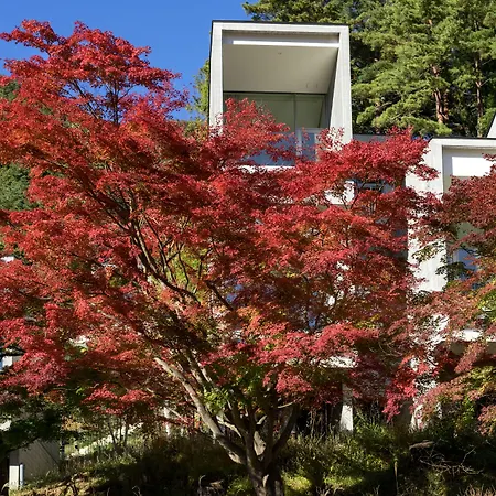 Hoshinoya Fuji-3