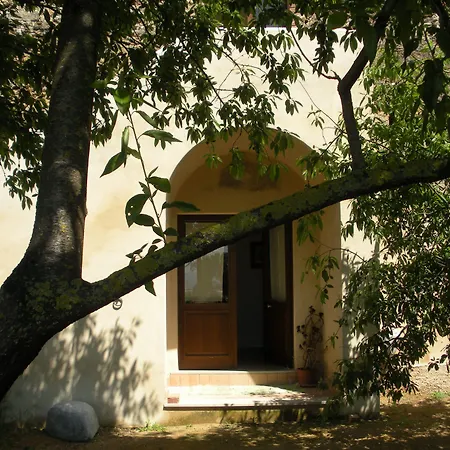Casa del Geco-2