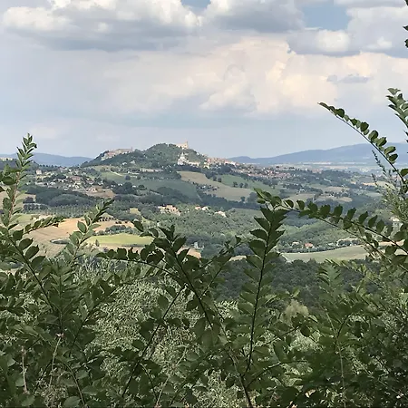 Residenza Collefiorito-2
