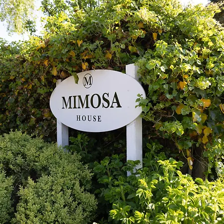 Mimosa House-3