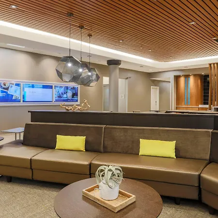 Springhill Suites By Marriott Tallahassee North-3