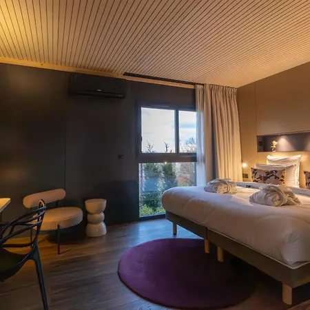 James Vignoble Hotel, Eguisheim-3
