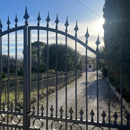 Jardí de Papallones-2