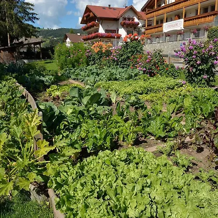 Garni-Hotel Pichler-2