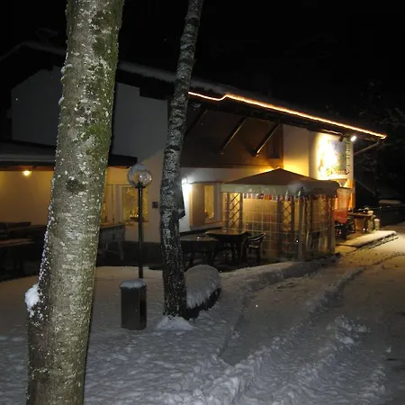 Albergo Pineta-3