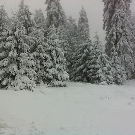 Land-Hotel Am Wald Garni-2
