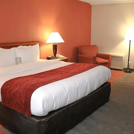 Comfort Inn & Suites Airport-2