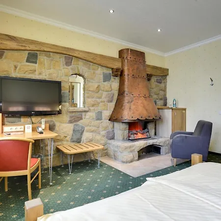 Ambient Hotel Zum Schwan-2